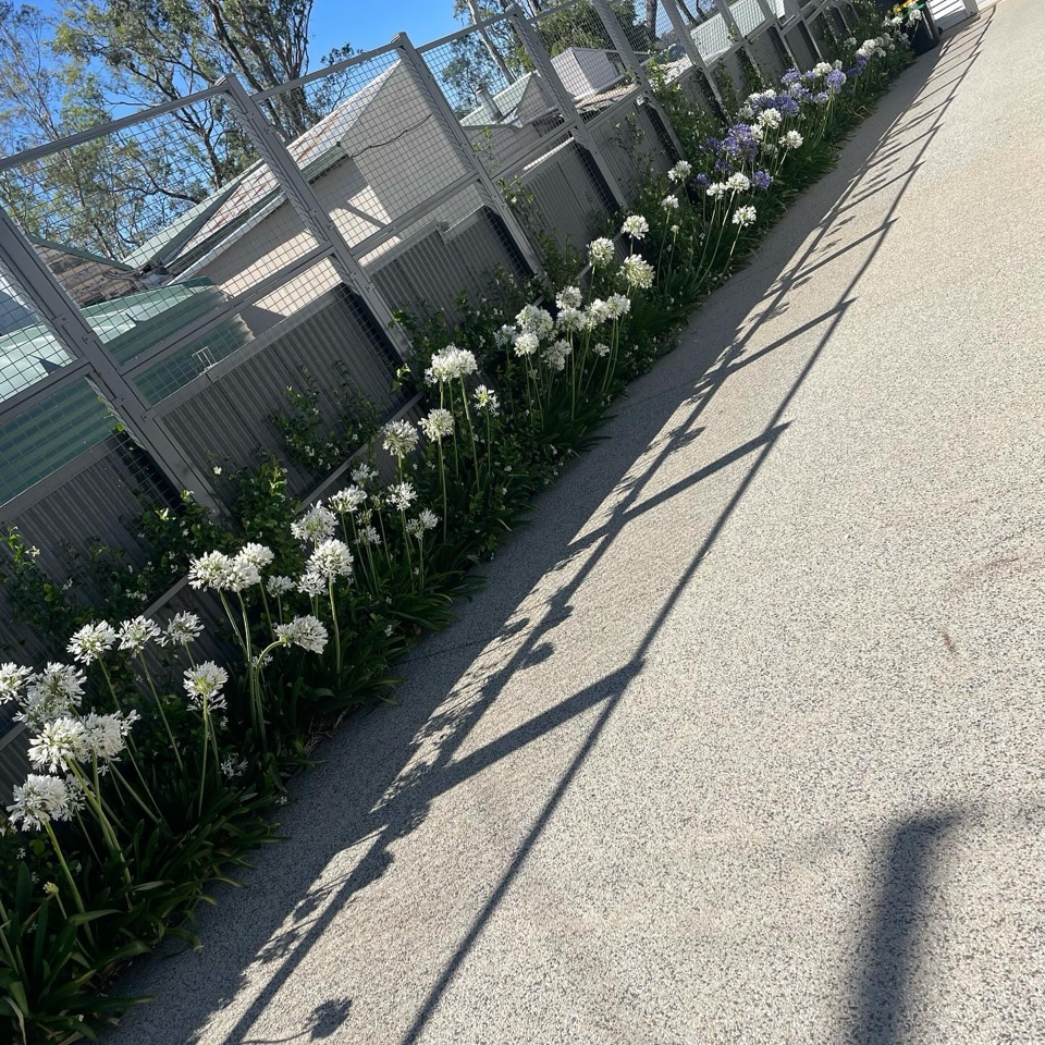 Garden design and soft landscaping