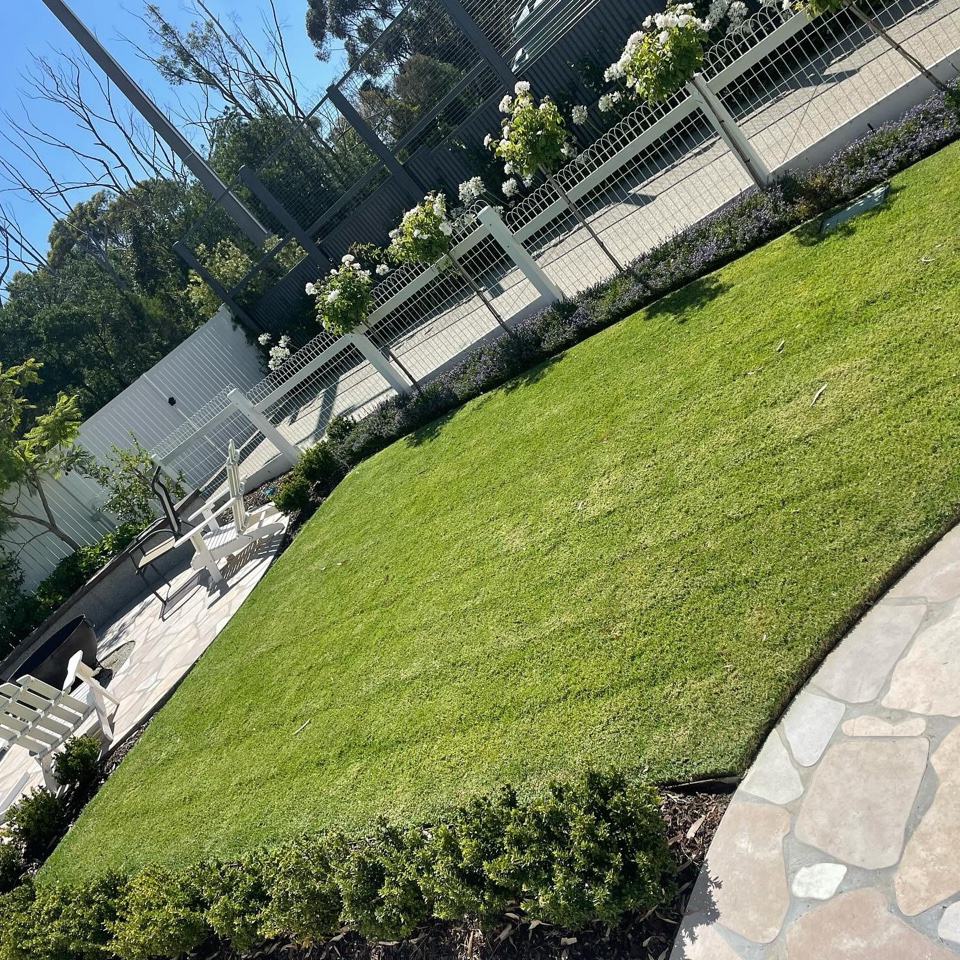 Full backyard landscape construction