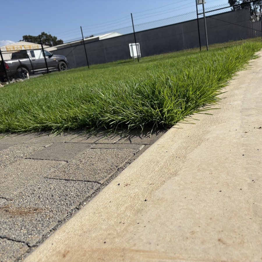 Premium turf installation