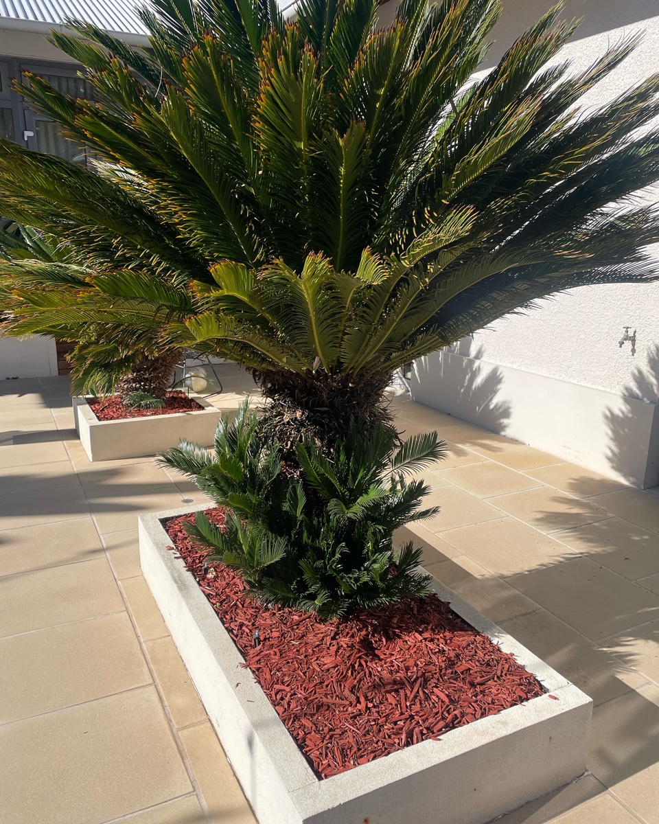 Landscaping in Berwick