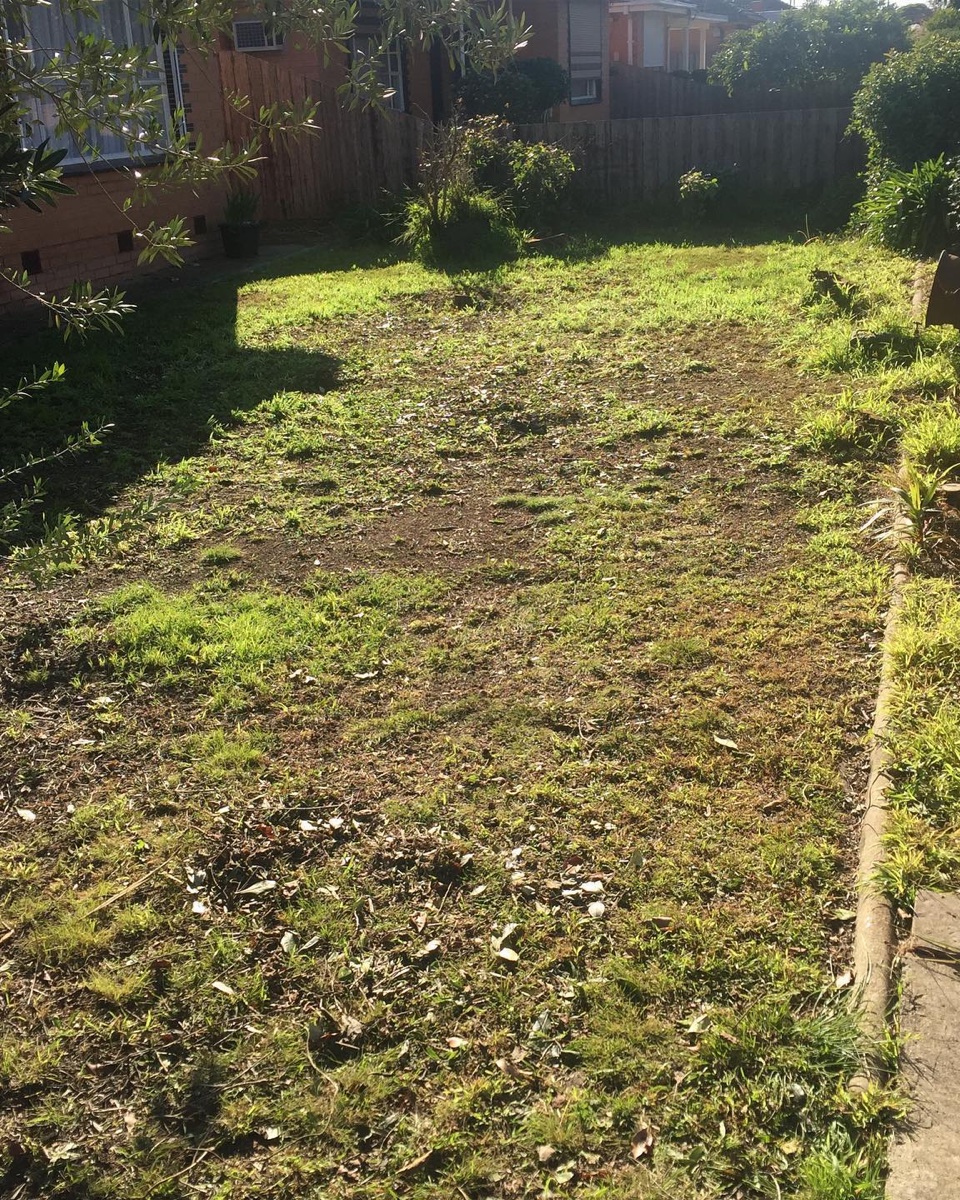 Landscaping in Clyde North
